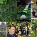 Southern Thai Ecolodge Wins Acclaim for ‘Regenerative Tourism’ in Asian Awards