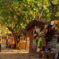 Discover 7 Brazilian destinations seeking UN Tourism recognition among the world’s Best Tourism Vill