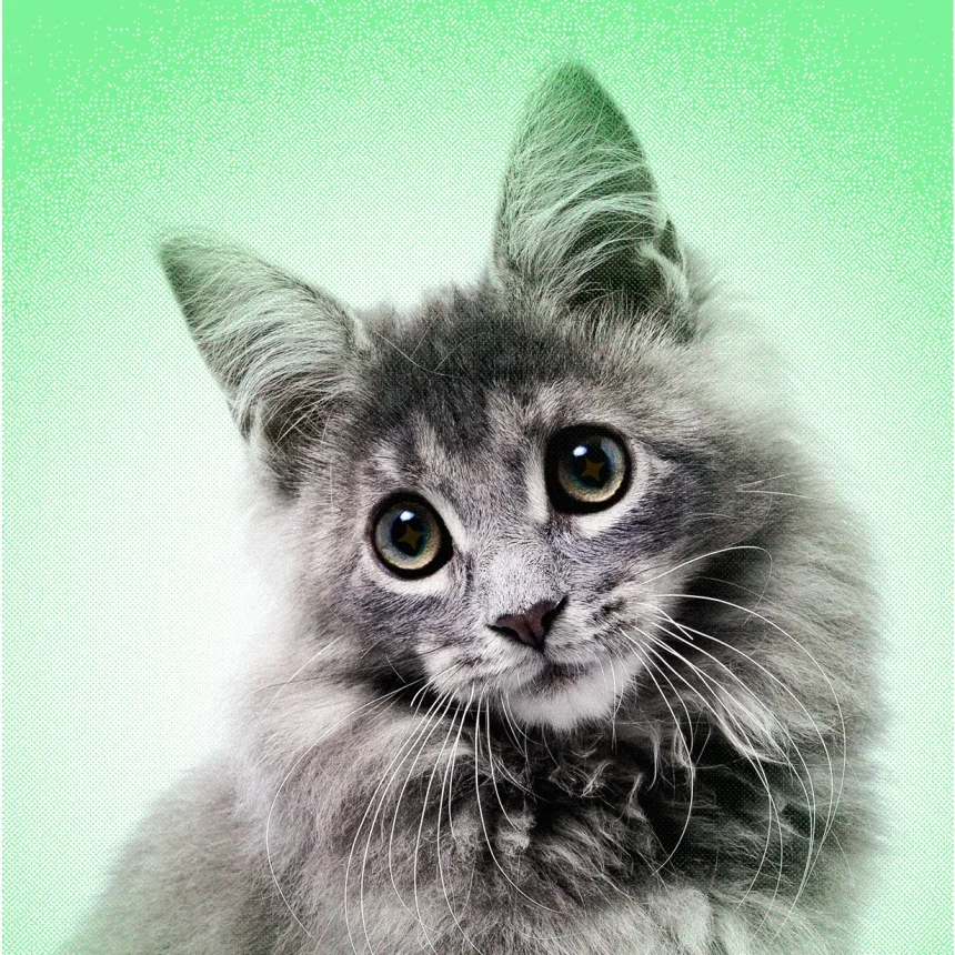 AI Slop Is Ruining Cute Animals on the Internet
