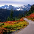 Where to Stay in the Pacific Northwest for a Coastal Fall Getaway