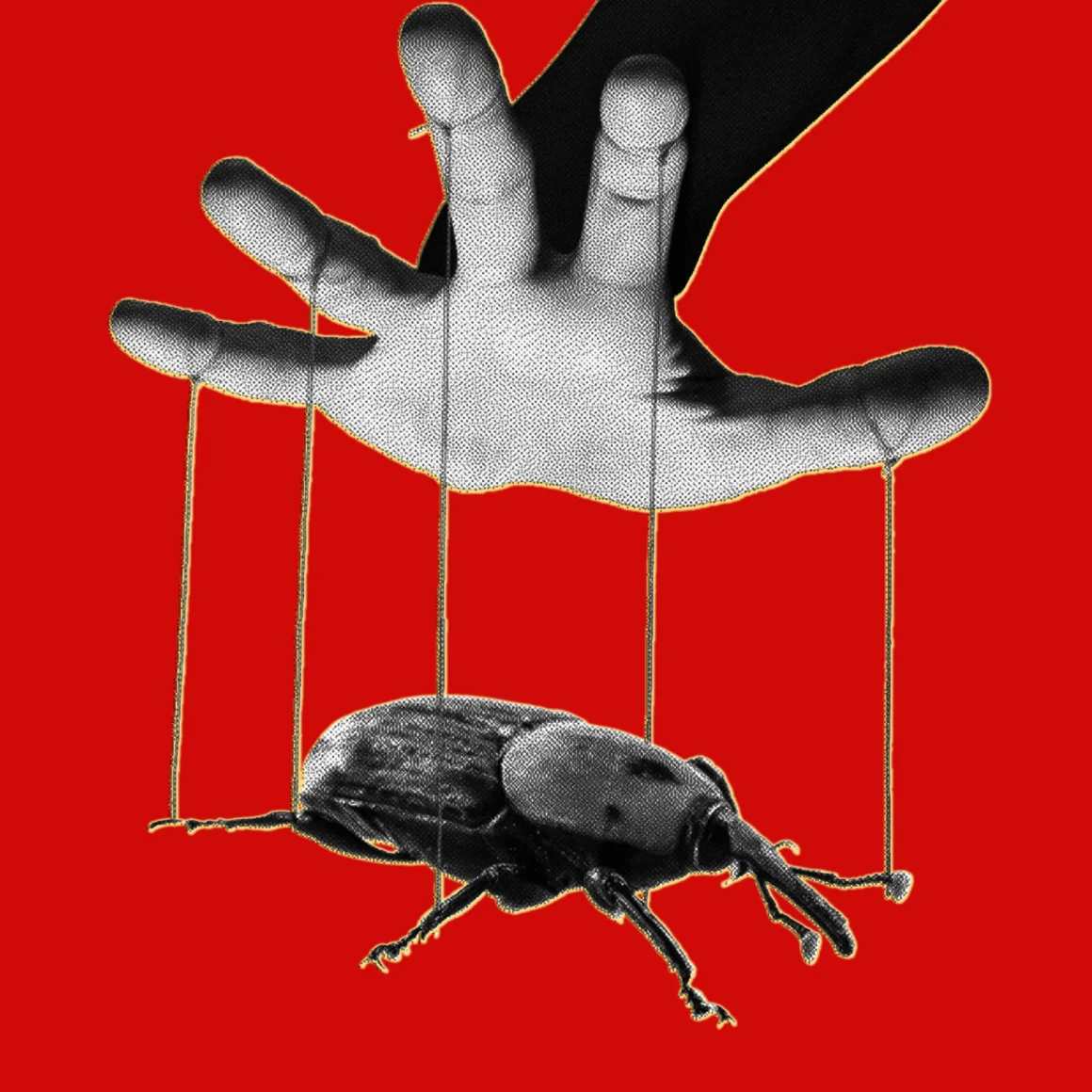 The PHP Meltdown Shows How AI Makes Bugs More Exploitable