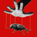 The PHP Meltdown Shows How AI Makes Bugs More Exploitable