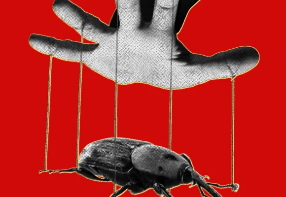 The PHP Meltdown Shows How AI Makes Bugs More Exploitable