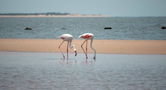 Mozambique Sets Its Sights on UK Travellers as Tourism Grows Ahead of 2027