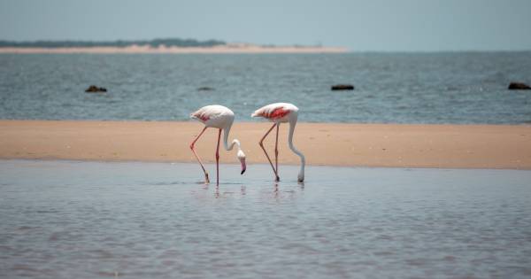 Mozambique Sets Its Sights on UK Travellers as Tourism Grows Ahead of 2027