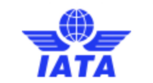 Payments Cost Airlines $24.5bn in 2025