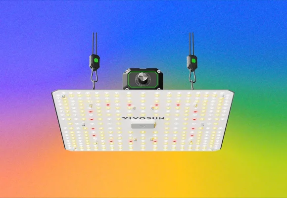 The Best LED Grow Lights for Houseplants This Winter (2026)
